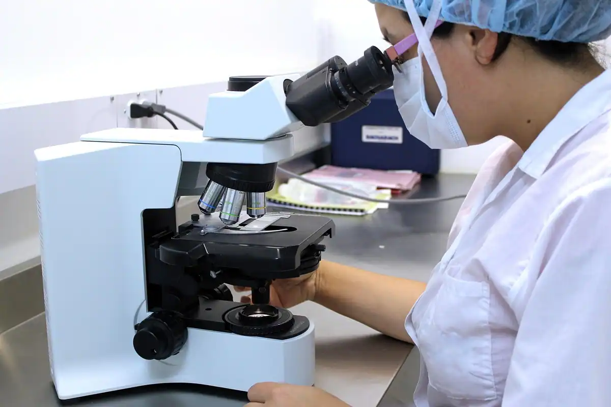Cercetătoare cu bonetă analizează o probă la microscop, în laborator