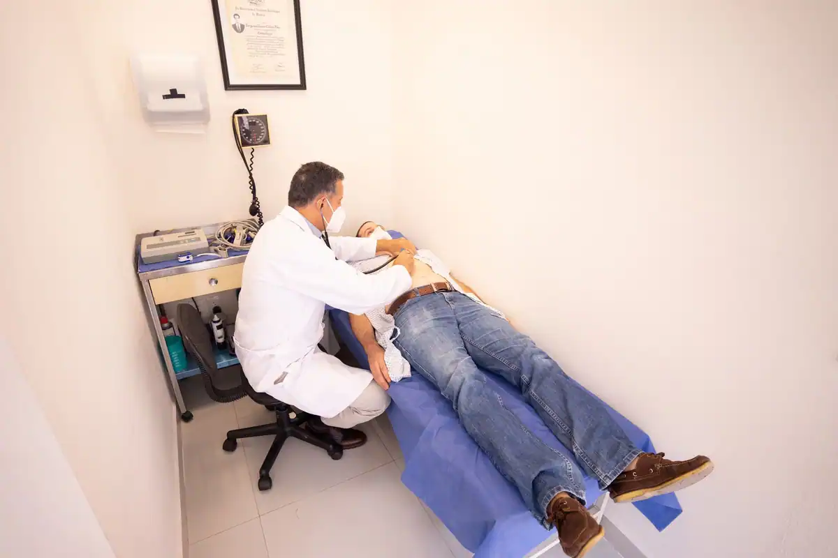 Înregistrare ECG cu inimă stilizată și medic în gri, într-un context veterinar